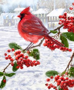 2293 Cardinal On Berries