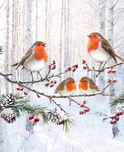 2288 Robins In Winter Forest Copy