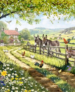 2284 Farm Donkeys