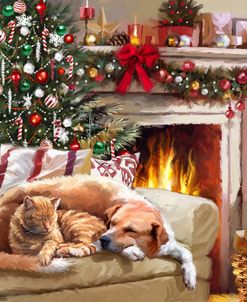 2333 Fireside Friends