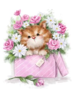 Cat in Box of Flowers