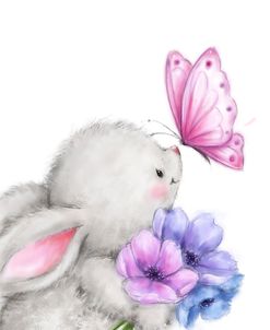 Rabbit and Butterfly