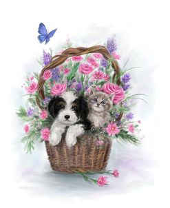 Dog and Cat in Flower Basket