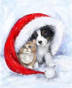 Dog and cat under Santa’s hat