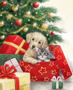 Christmas Dog and Cat in Box