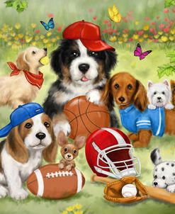 Sporty Dogs