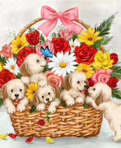 Dogs in Flower basket