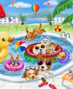 Dogs swimming pool