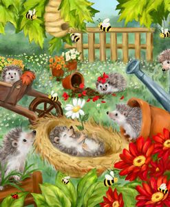 Hedgehogs Playing in Garden