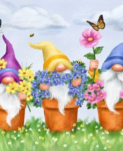 Gnomes in Flower Pots