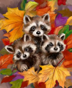 Three Raccoons in Autumn