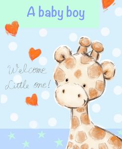 Baby Boy Giraffe