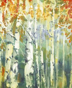 Abstract Birch Trees Warm