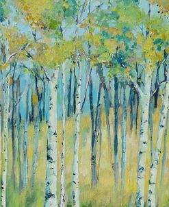 Birch Forest