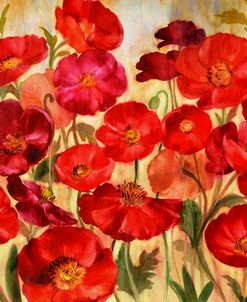 Red Poppies