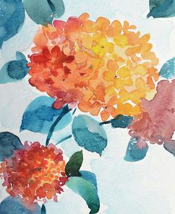 Watercolor Hortensia_2