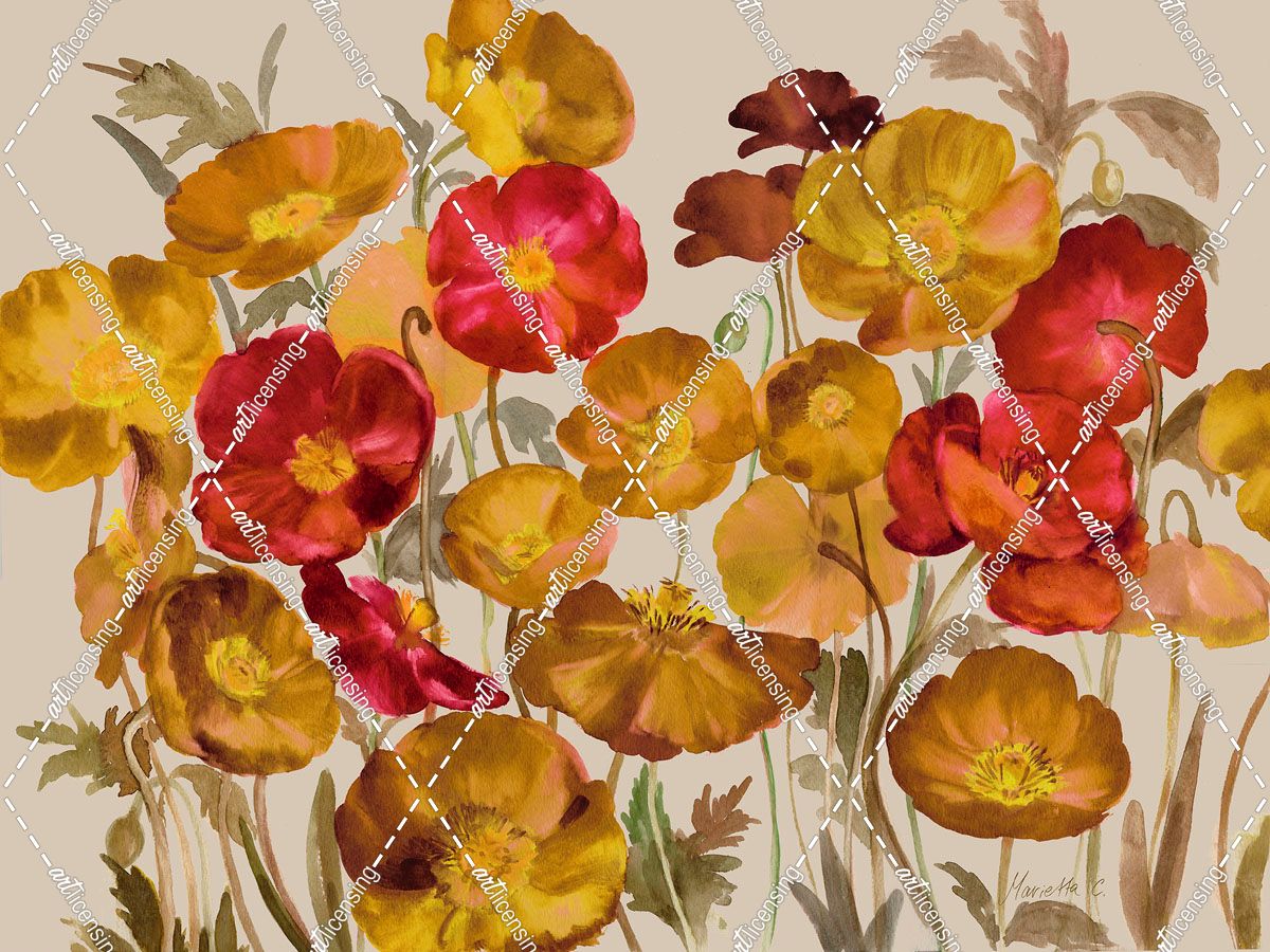 Yellow And Red Poppies