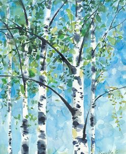 Aspen tree2