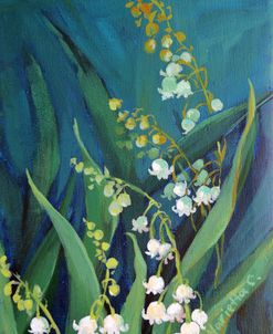 Lily of the Valley