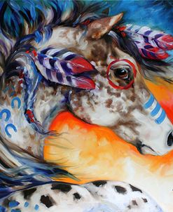 Appaloosa Indian War Horse