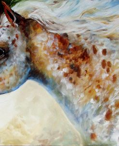 Appaloosa Spirit