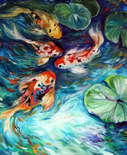 Dancing Colors Koi