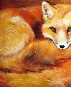 Red Fox Den