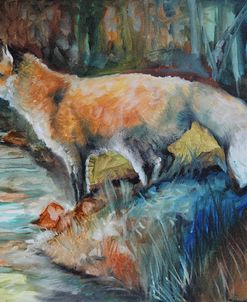 Red Fox II