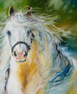 White Cloud The Andlusian Stallion