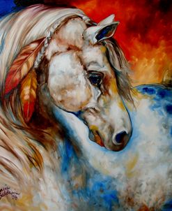 Appaloosa Warrior