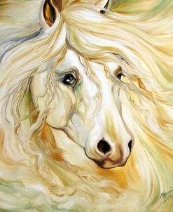Golden Stardust Equine