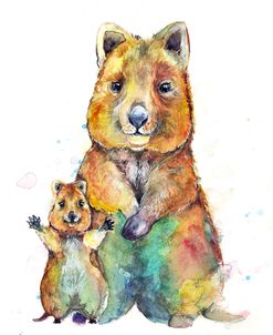 Qwazy Quokkas