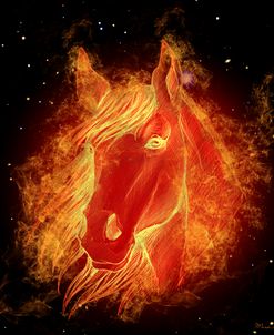 Horse On Fire