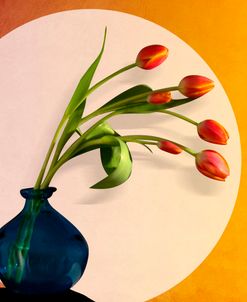 Tulips 3