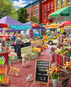 A Day at the Farmers Market