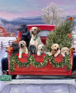 Christmas Puppies in Truck