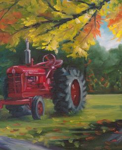 Farmall Splendour