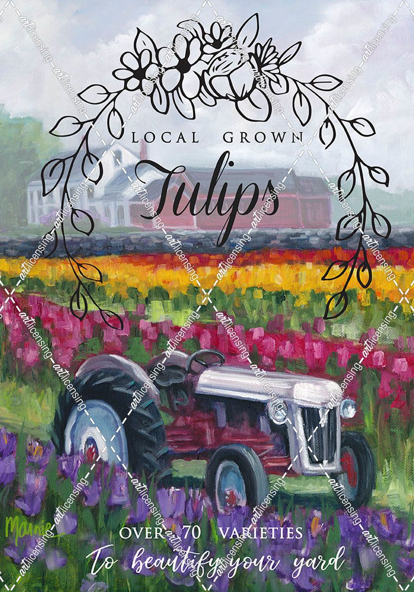 Tractoring Through The Tulips-1