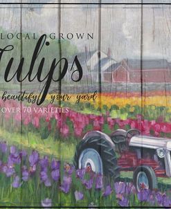 Tractoring Through The Tulips