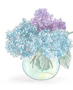 Hydrangeas