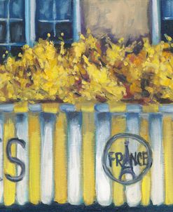Paris France-Rue Cler