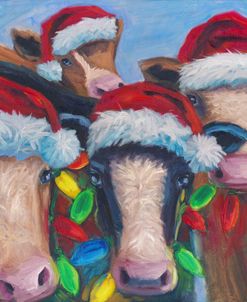 Xmas Cows