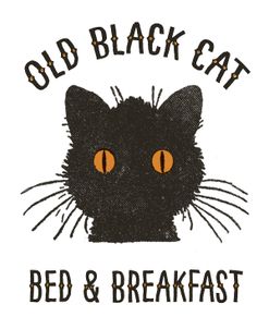 Old Black Cat