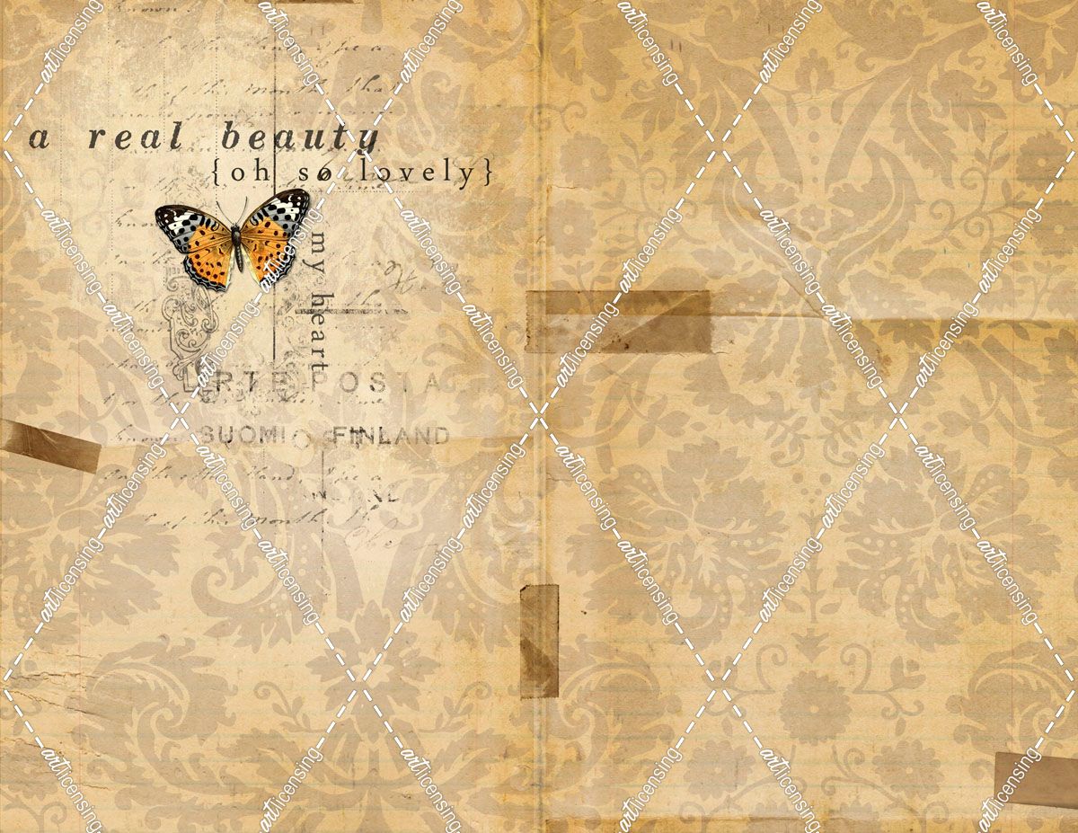 Real Beauty Butterfly 2