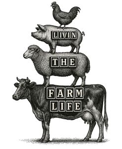 Farm Life Plain