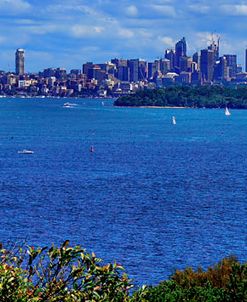 _DSC5167X