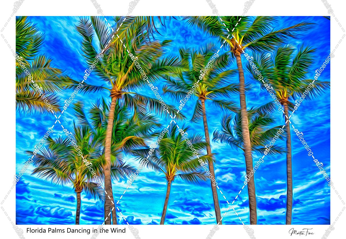 Coastal Palms in the Breeze0049X
