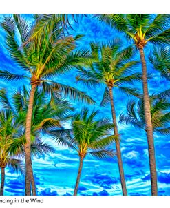 Coastal Palms in the Breeze0049X