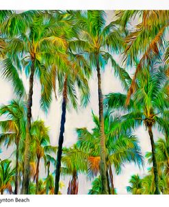 Coastal Palms in the Breeze0051X