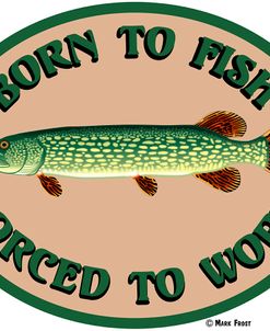 Born To Fish Forced To Work